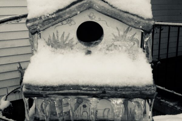 News Spotlight: Lansing Activates ‘Code Blue’ Cold Weather Emergency Plan Cold,