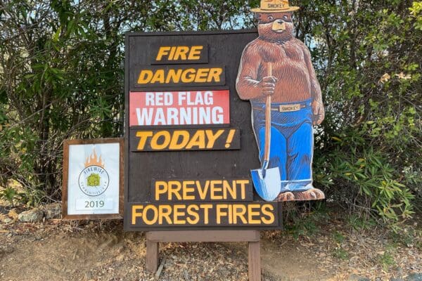 National News: Court challenges of recent mass firings of federal workers making headway