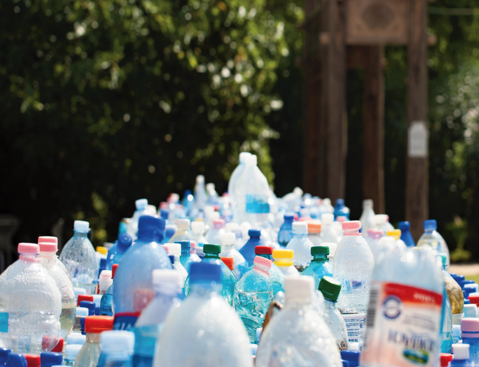 Projects will Advance Technologies for Plastic Recycling, Reduce Plastic Waste, and Cut the Carbon Footprint of Plastic Production Michigan State University receives funding for plastic waste research.